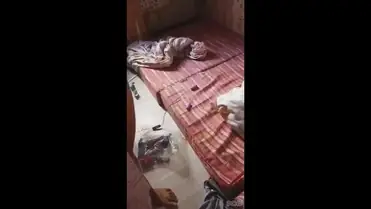 Adegan Mesum Di Dalam Kamar Pacar Cantik poster