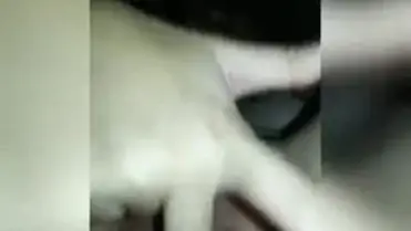 Cam Masturbasi Colmek Di Atas Kasur Putri Kurnia Part 4 poster