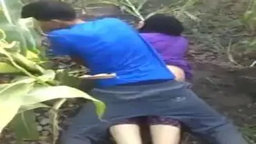 Video Tercyduk Mesum di Kebun Jagung poster